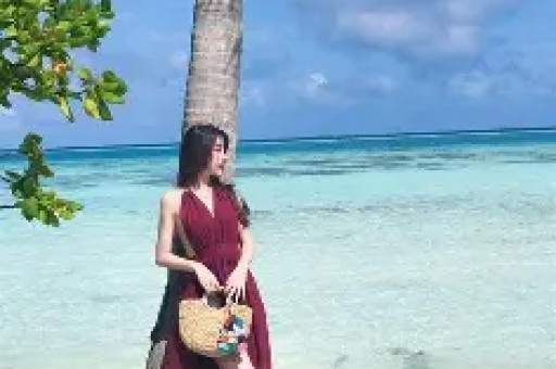 木府风云